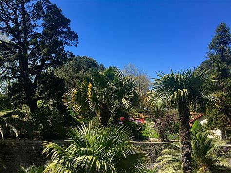 Le Jardin du Soleil Levant à Mariveles : Une Oasis de Paix au Bord de la Mer !